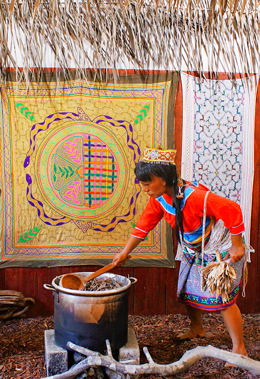 Museo de Ayahuasca