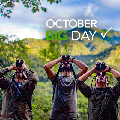 ¡Perú va por el primer lugar en el October Big Day!