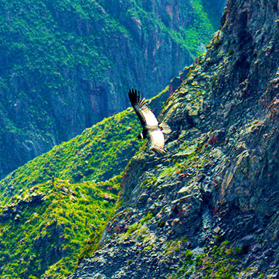 Valle del Colca logra máxima distinción turística e iguala a Machupicchu