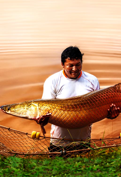 Instituto de Investigación de la Amazonía Peruana IIAP-Ucayali