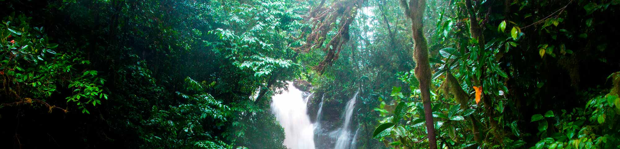 Catarata El Río Tigre