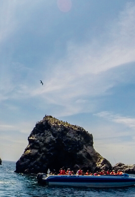 Islas Ballestas