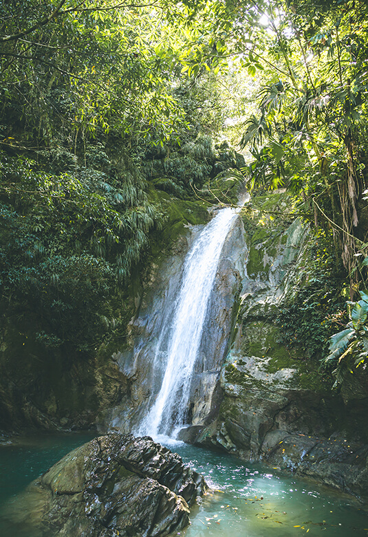 Parque Nacional Tingo María