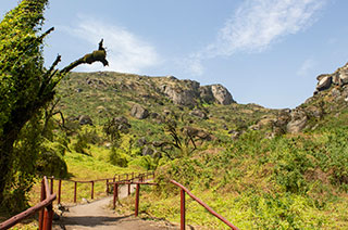 Reserva Nacional de Lachay