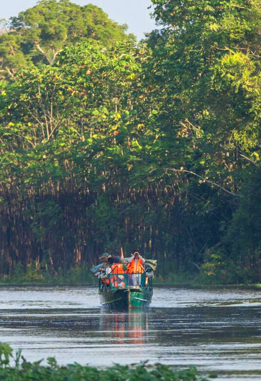 Reserva Nacional Pacaya Samiria