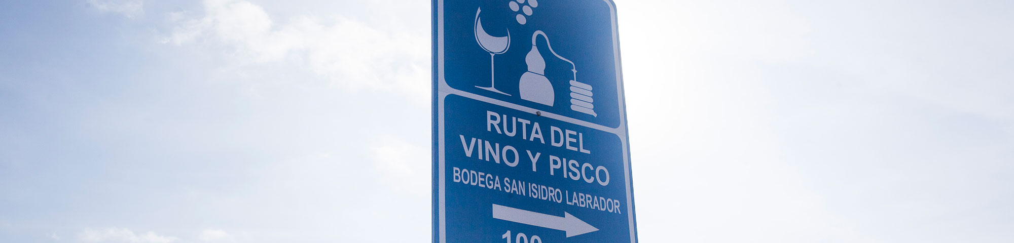 Ruta del Pisco y Vino