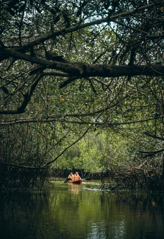 Santuario Nacional Los Manglares de Tumbes