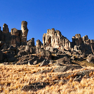 Bosque de Piedras de Huayllay: 4 datos sobre esta maravilla natural del Perú