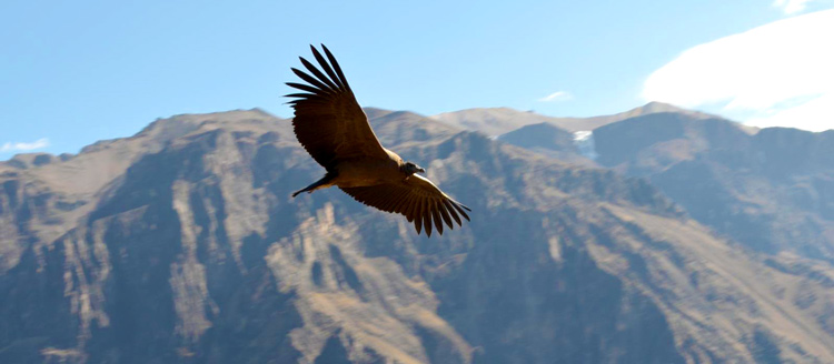 Valle del Colca obtiene máxima distinción como recurso turístico 