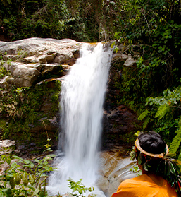 Junín