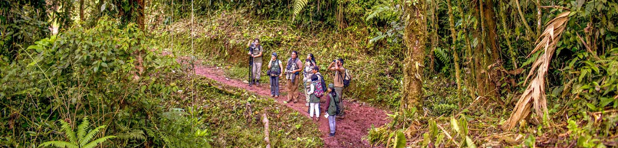 Parque Nacional Tingo María gana segundo lugar como destino sostenible en Berlín