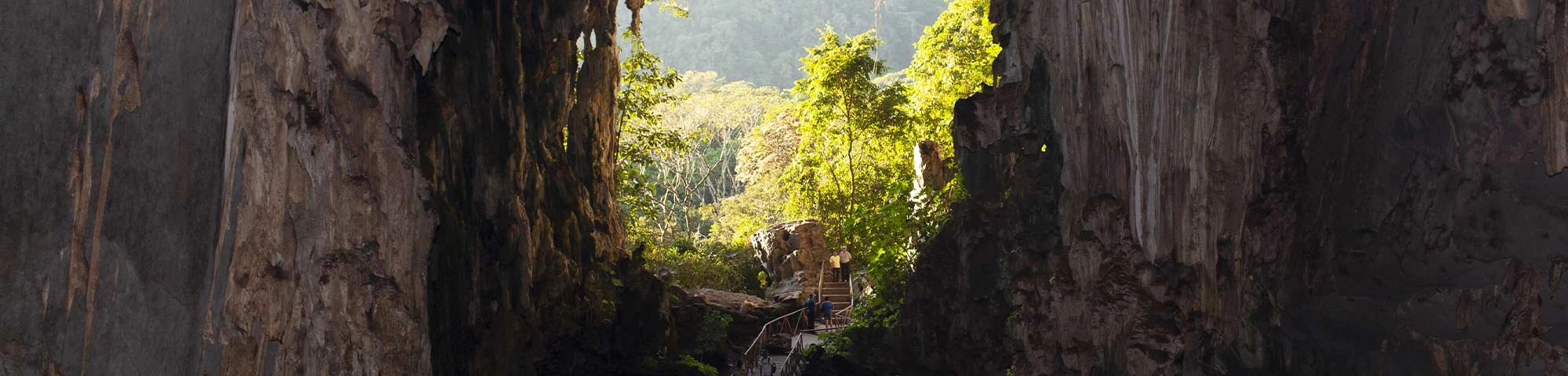 Parque Nacional Tingo María es reconocido entre las historias de turismo sostenible en el mundo