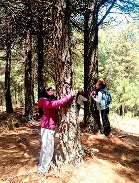 Cajamarca inolvidable