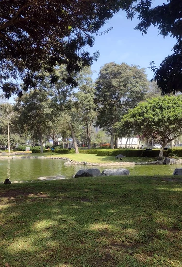 RECORRIDO TURÍSTICO: JESÚS MARÍA MONUMENTAL