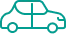 terrestre
