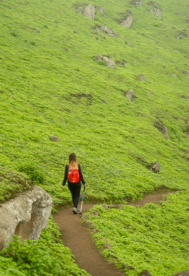 Lomas de Lúcumo