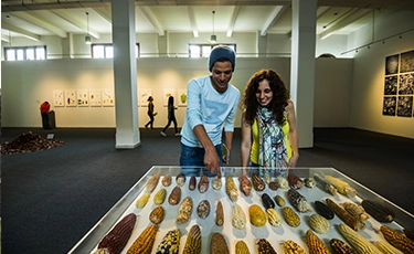 Museo Metropolitano