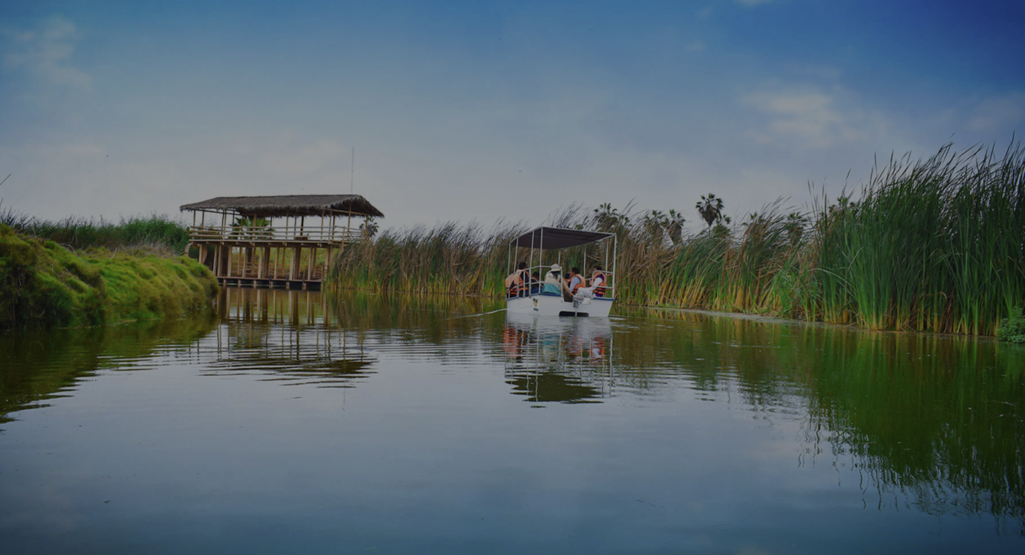 Naturaleza y experiencias al aire libre