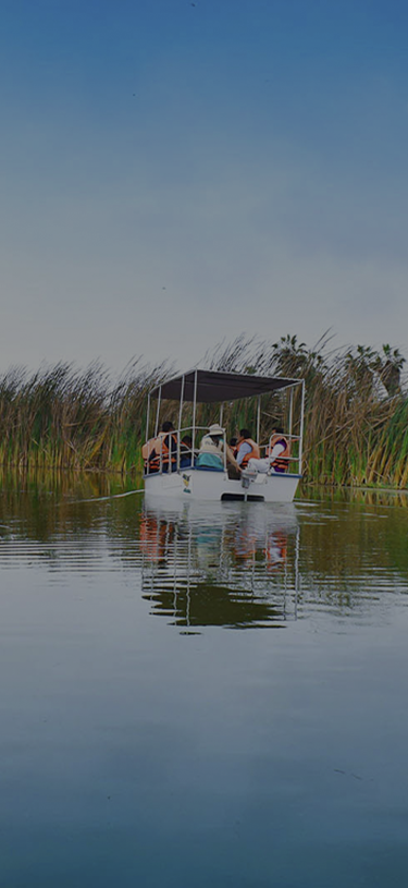 Naturaleza y experiencias al aire libre
