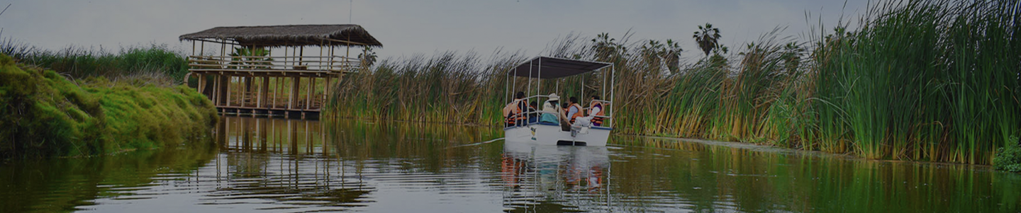 Naturaleza y experiencias al aire libre