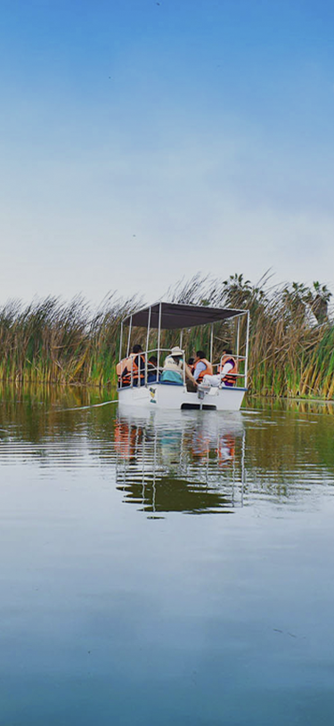 Naturaleza y experiencias al aire libre